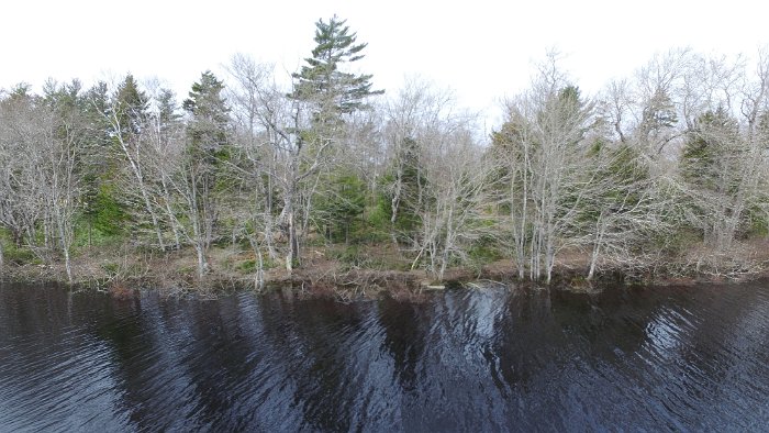 WentworthHalbinsel (79)